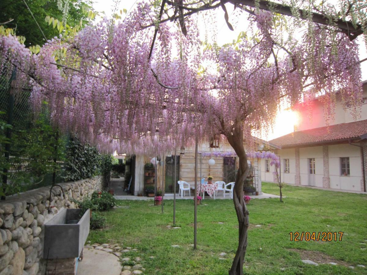 Casa Torre Allera คูเนโอ ภายนอก รูปภาพ